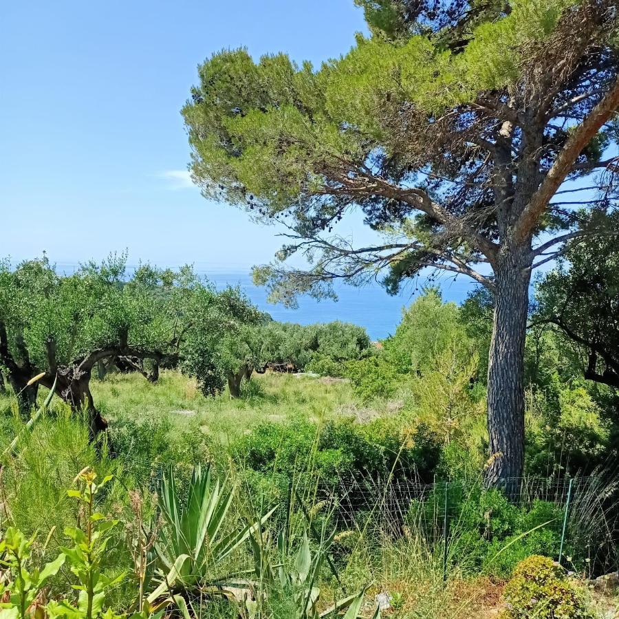 Tarohouse Marina Di Camerota Buitenkant foto