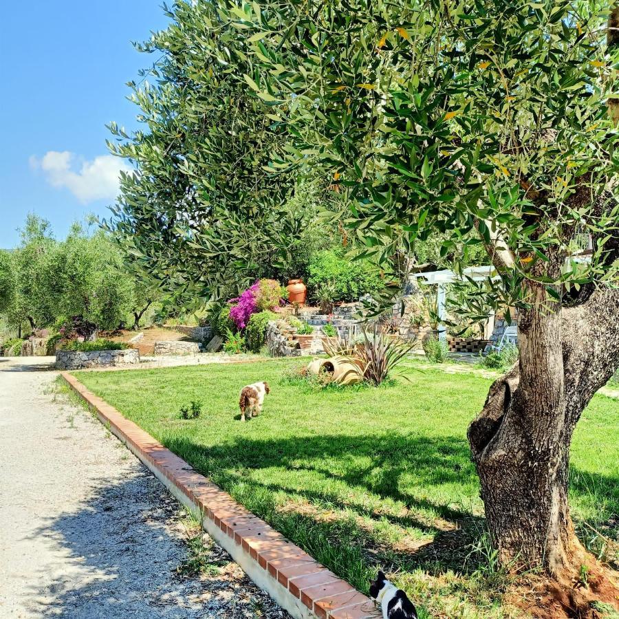 Tarohouse Marina Di Camerota Buitenkant foto