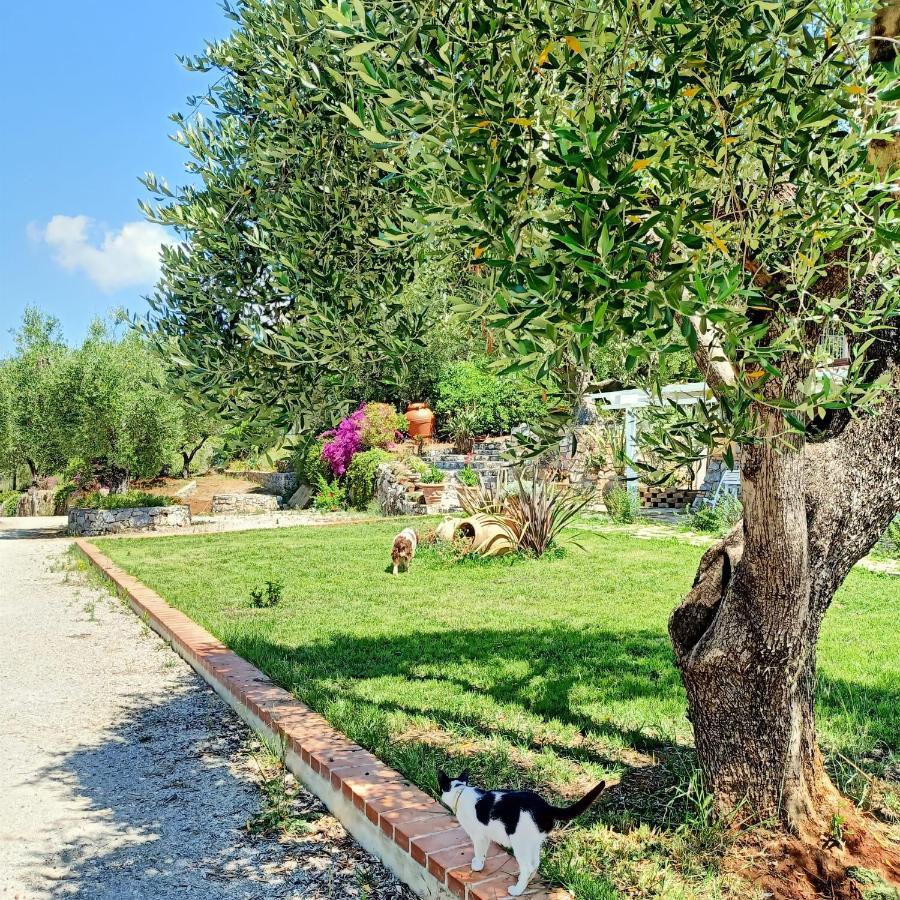 Tarohouse Marina Di Camerota Buitenkant foto