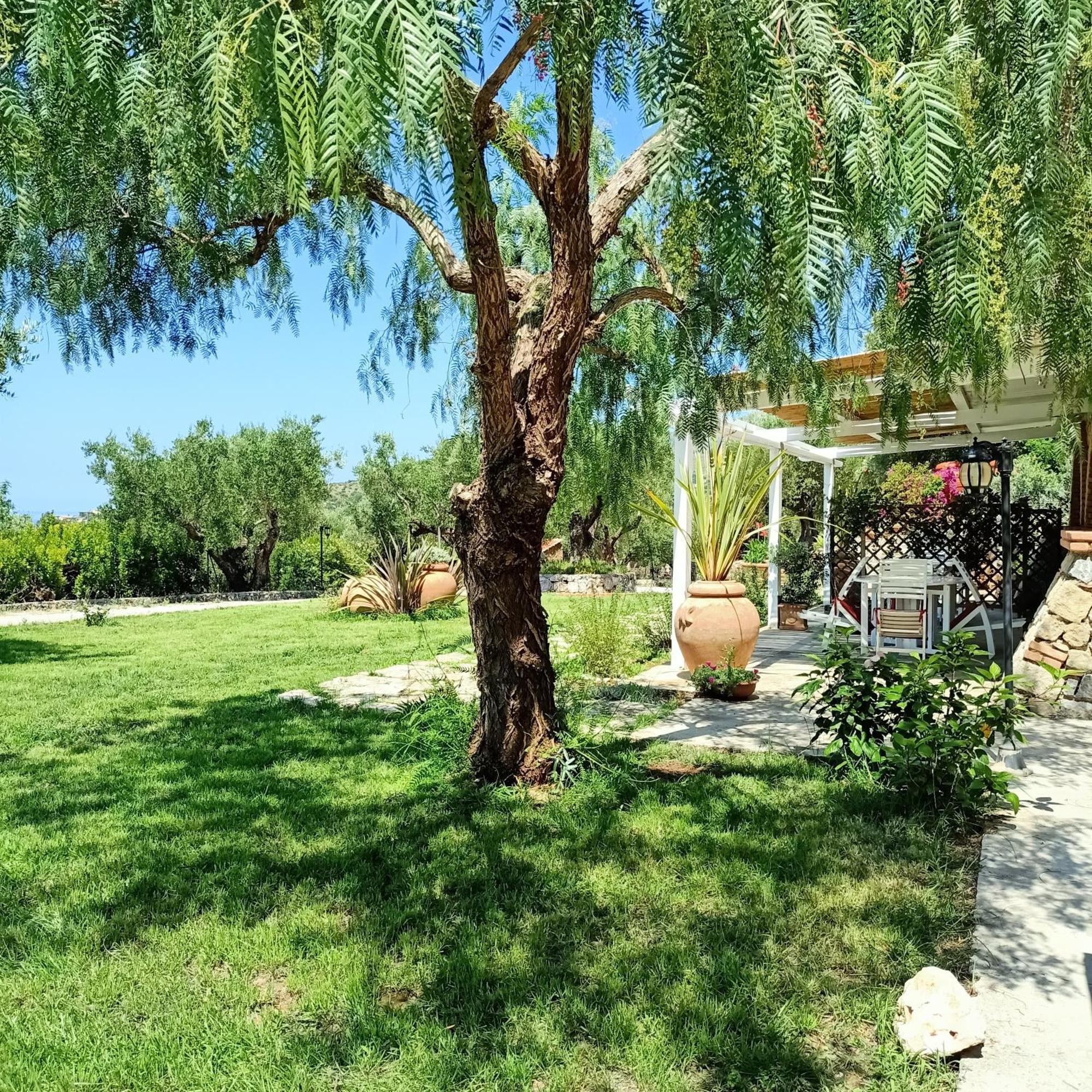 Tarohouse Marina Di Camerota Buitenkant foto